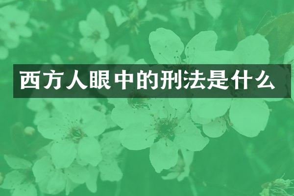 西方人眼中的刑法是什么