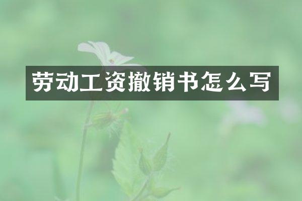 劳动工资撤销书怎么写