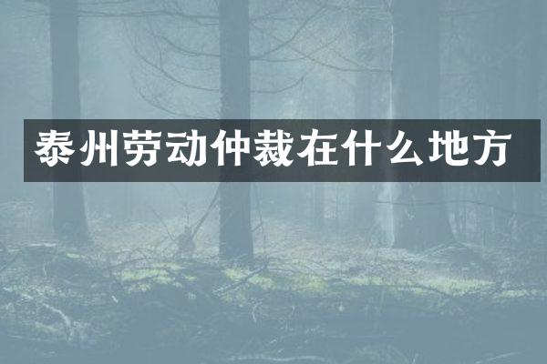 泰州劳动仲裁在什么地方