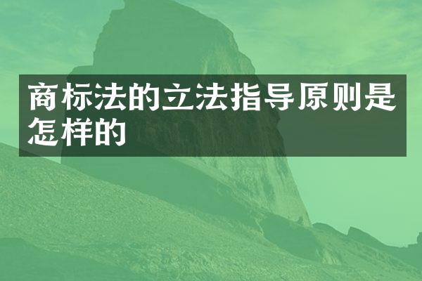 商标法的立法指导原则是怎样的