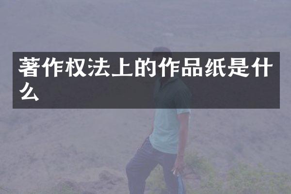 著作权法上的作品纸是什么