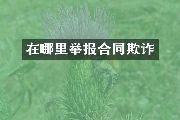 在哪里举报合同欺诈