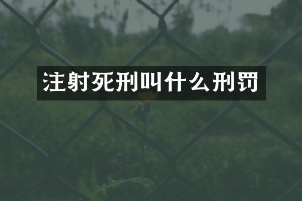 注射死刑叫什么刑罚