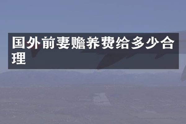 国外前妻赡养费给多少合理