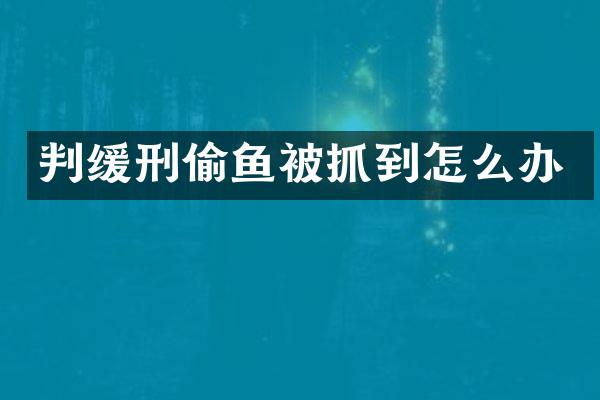 判缓刑偷鱼被抓到怎么办