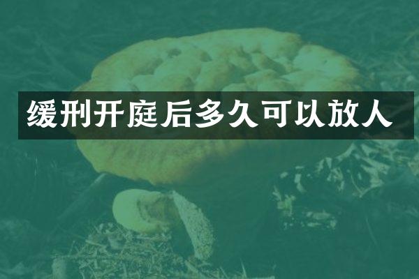 缓刑开庭后多久可以放人