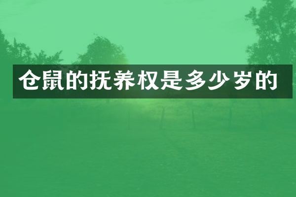 仓鼠的抚养权是的