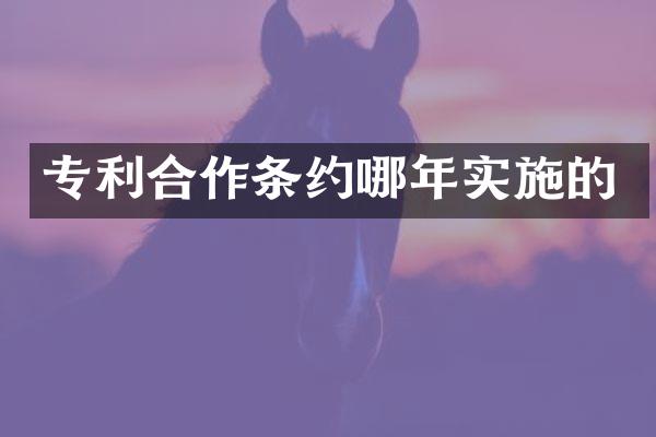 专利合作条约哪年实施的