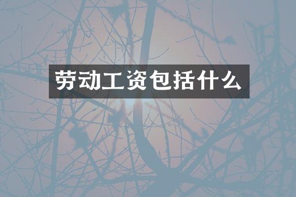 劳动工资包括什么