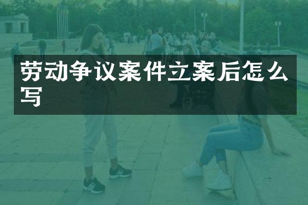 劳动争议案件立案后怎么写