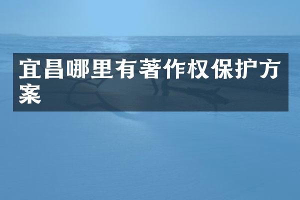 宜昌哪里有著作权保护方案