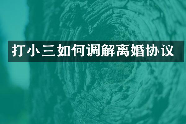 打如何调解离婚协议