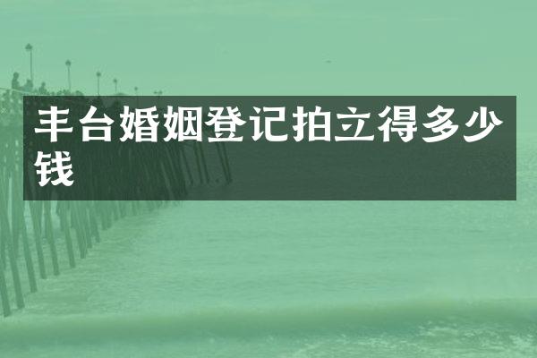 丰台婚姻登记多少钱