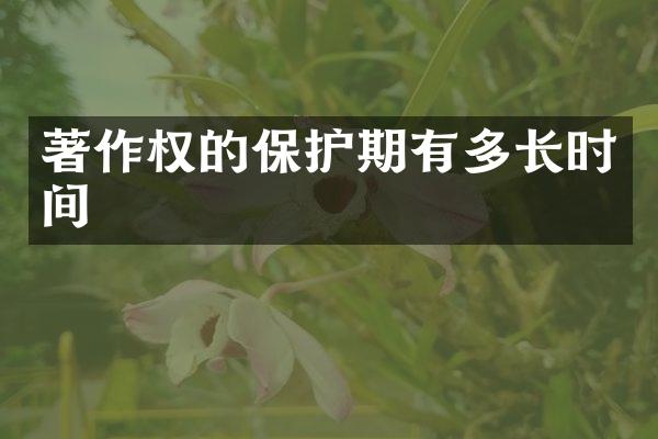 著作权的保护期有多长时间