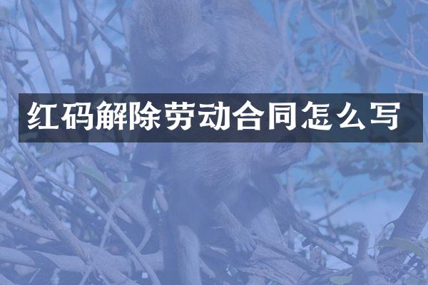 红码解除劳动合同怎么写