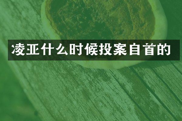 凌亚什么时候投案自首的