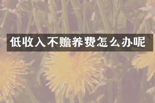低收入不赡养费怎么办呢