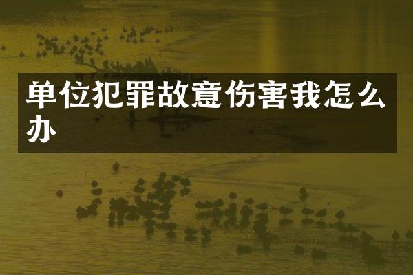 单位犯罪故意伤害我怎么办