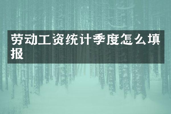劳动工资统计季度怎么填报