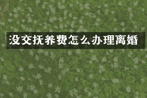 没交抚养费怎么办理离婚