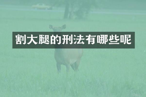 割大腿的刑法有哪些呢