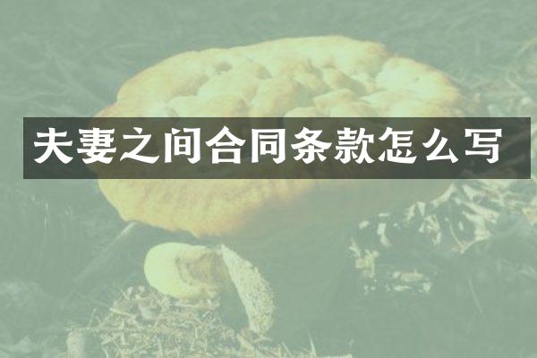 夫妻之间合同条款怎么写