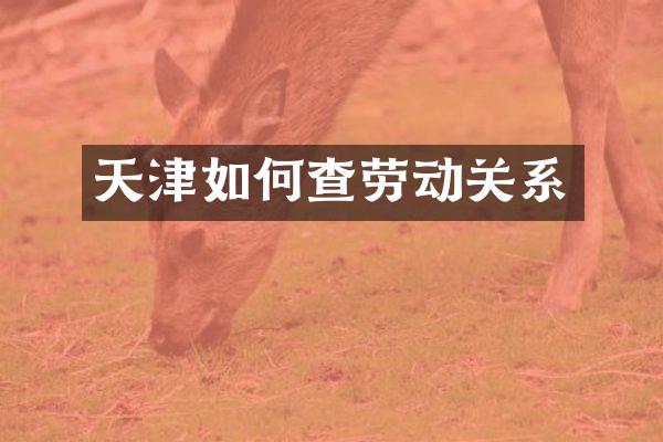 天津如何查劳动关系