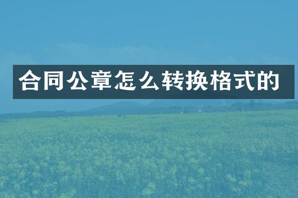 合同公章怎么转换格式的