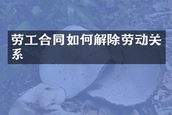 劳工合同如何解除劳动关系