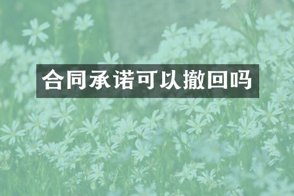 合同承诺可以撤回吗