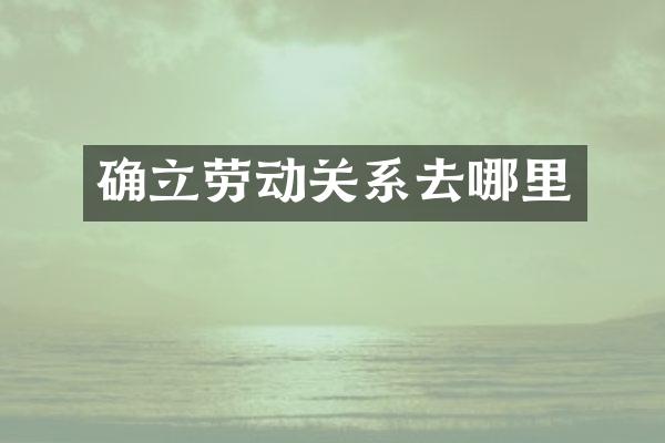 确立劳动关系去哪里