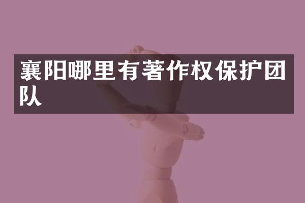 襄阳哪里有著作权保护团队