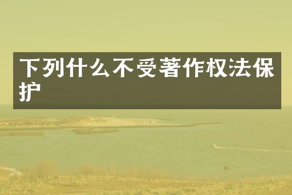 下列什么不受著作权法保护