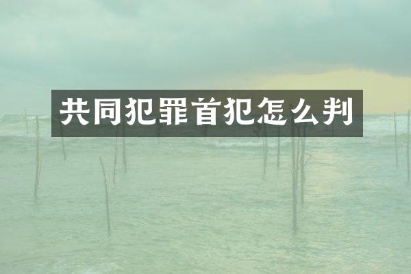 共同犯罪首犯怎么判