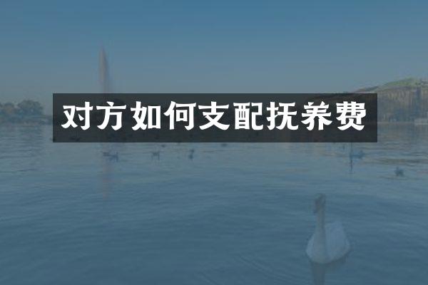 对方如何支配抚养费