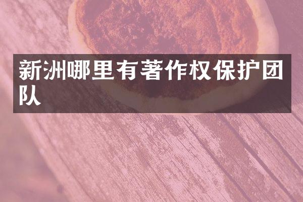 新洲哪里有著作权保护团队