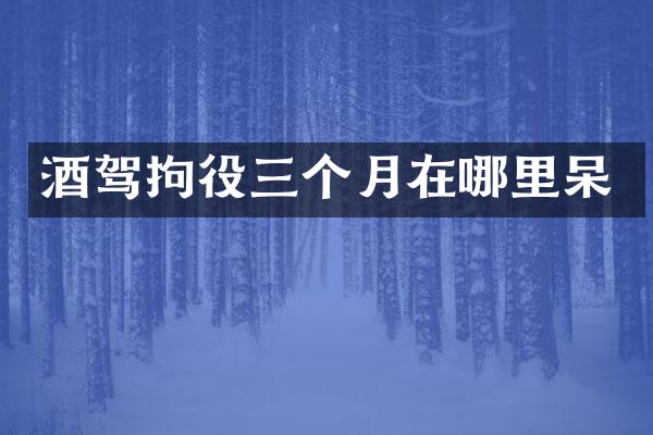酒驾拘役三个月在哪里呆
