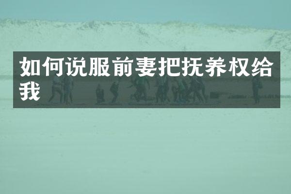 如何说服前妻把抚养权给我