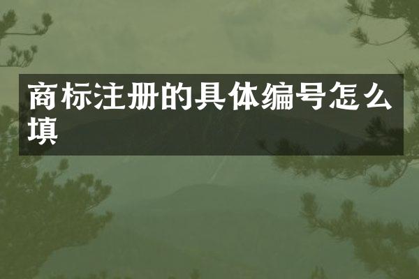 商标注册的具体编号怎么填