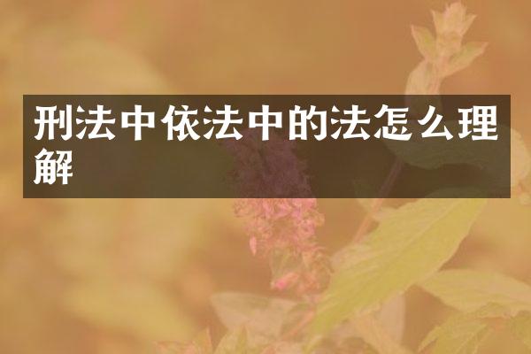 刑法中依法中的法怎么理解