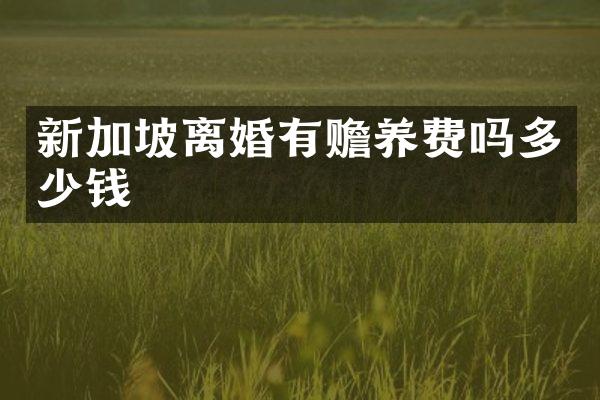 新加坡离婚有赡养费吗多少钱