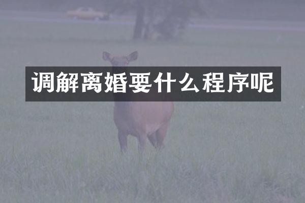 调解离婚要什么程序呢