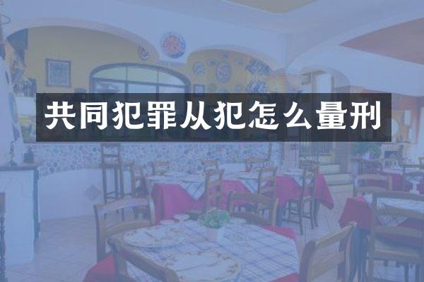 共同犯罪从犯怎么量刑