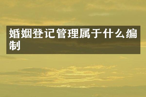 婚姻登记管理属于什么编制