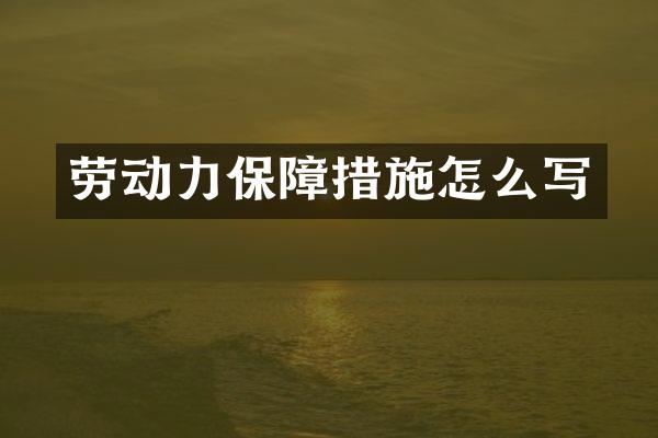 劳动力保障措施怎么写