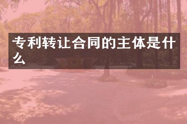 专利转让合同的主体是什么