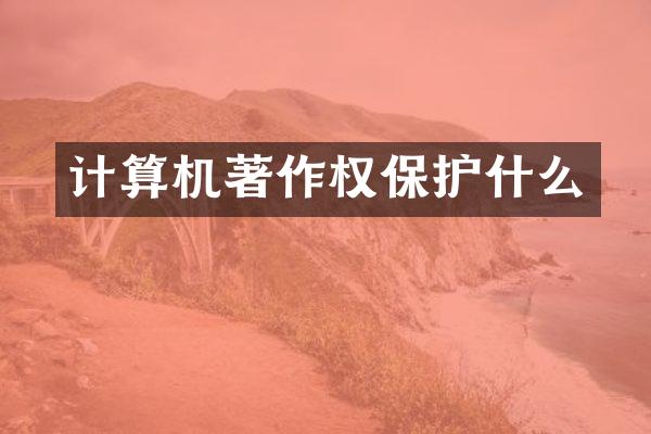 计算机著作权保护什么