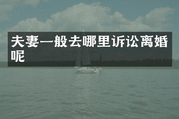 夫妻一般去哪里诉讼离婚呢