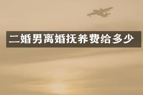 二婚男离婚抚养费给多少