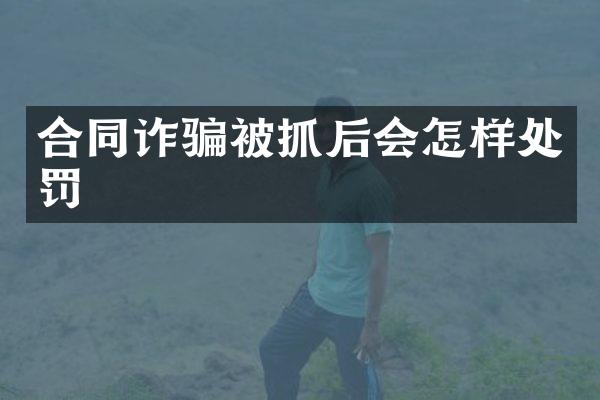 合同诈骗被抓后会怎样处罚